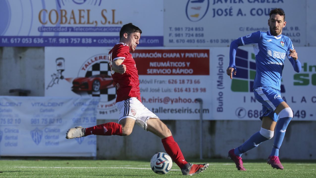 Bscate en la Festa do Porco Celta en Sarria.Vendimia en la via de Camio Novo, de la que sale el vino destcado por la Gua Pen