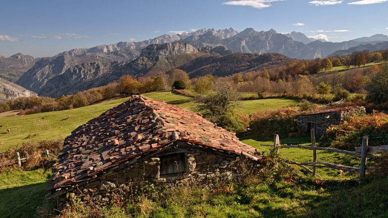 Cabaña en la ruta del bosque de Peloño
