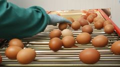 Huevos, unos de los productos que suben de precio en Galicia