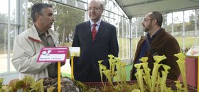 El alcalde Agustn Fernndez acudi ayer a la apertura de la exposicin de plantas carnvoras. 