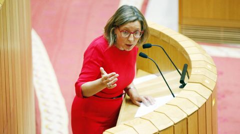 Carmen Gallego, en un pleno del Parlamento
