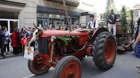 Domingo de entroido en Verín. Desfile con mucha participación y público.