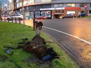 El autom�vil siniestrado arranc� un bolardo de la rotonda