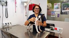 María García, en la clínica veterinaria de Vilagarcía en la que trabaja, posando con Bilbo