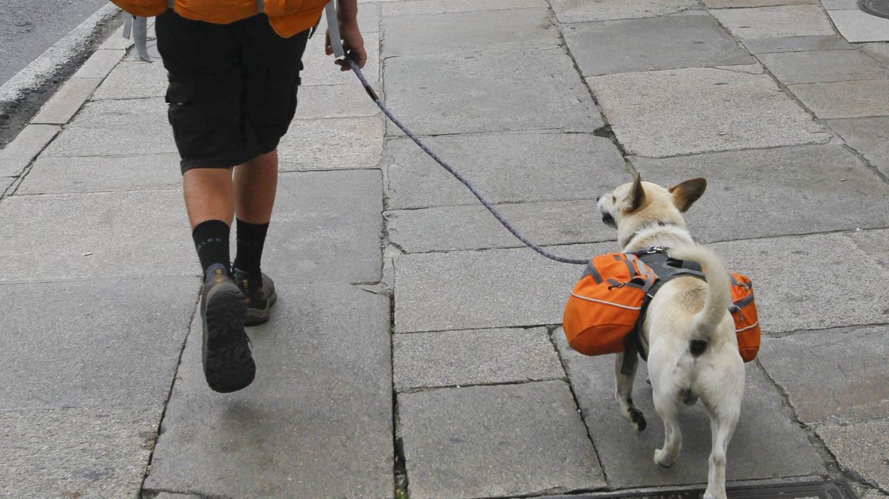 As� fue la tercera etapa del Camino de Trabandainas