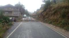La carretera estuvo cortada durante media hora
