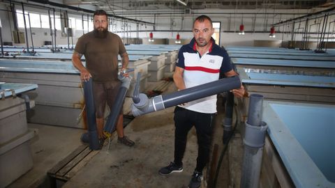 En la nave de producción, la «broma» consistió, entre otras cosas, en arrancar diversos elementos de las piscinas.
