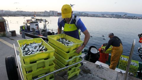 A los xeiteiros de las Rías Baixas (foto de archivo) les sobra el 60 % de su cupo anual de sardina, calcula Pesca, que también le retira el 26 % al cerco del golfo de Cádiz 