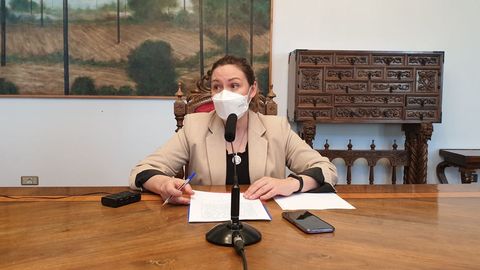 Pilar Garca Porto, portavoz del PSOE de Lugo en la Diputacin