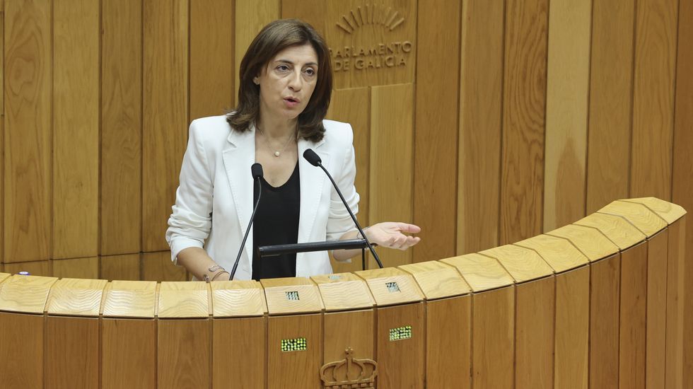 Dos trabajadores heridos al implosionar un silo de aceite de palma en el puerto de Vigo que dejó un vertido.La conselleira de Medio Ambiente, Ángeles Vázquez, en una comparecencia reciente en el Parlamento