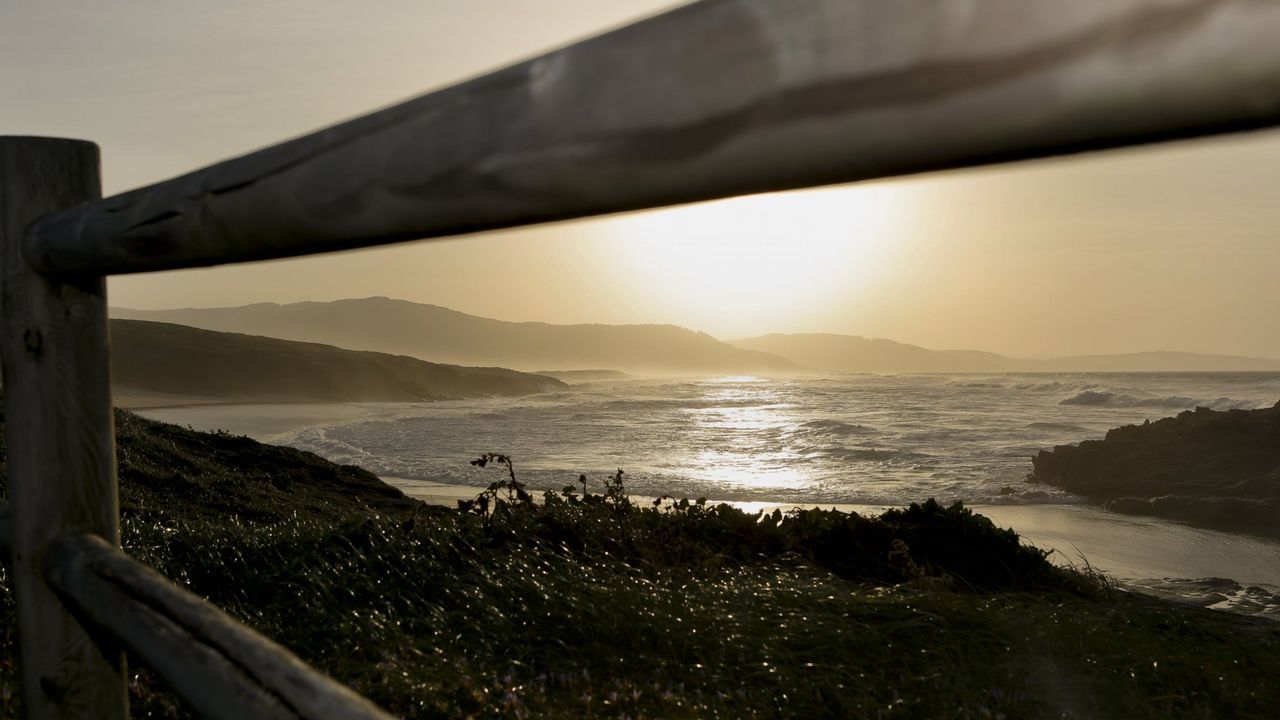 Jane Goodall hace un llamamiento en el D�a de la Tierra.Aedes albopictus