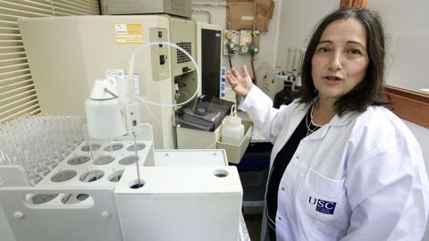Rosa Mosquera, catedrática de Producción Vegetal y profesora de la Escuela Politécnica Superior del Campus Terra de la USC, en Lugo
