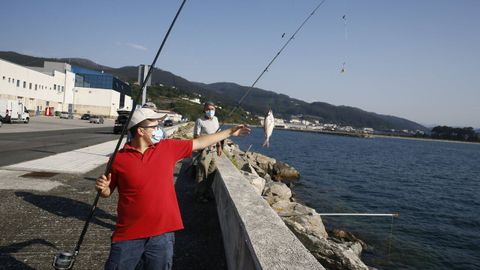 Un chaval izando un pez que captur en Celeiro, en una imagen del pasado verano
