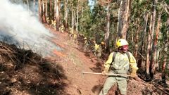 Los bomberos forestales de las brigadas de incendios forestales de Tineo y bomberos de Asturias se esfuerzan por controlar el perimetro en ataque directo con batefuegos y herramienta manual en el fuego registrado en Villagrufe, Pola de Allande