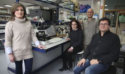 Serena Santolamazza, Rosana Snchez-Guilln, Iago Sanmartn y Adolfo Cordero, en el laboratorio del grupo de Ecologa Evolutiva. 