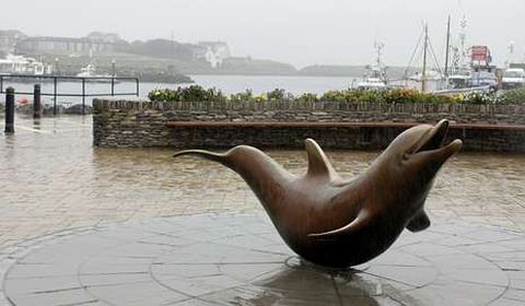 En Dingle también visitaron el puerto, con su simbólico delfín.