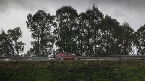 Un 60 % de las operaciones de compra de tierra rústica del 2021 fueron de monte