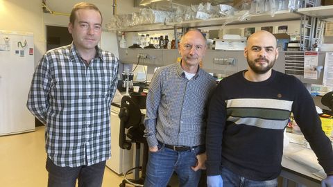 Investigadores de la USC de izquierda a derecha: Samuel Seoane, Román Pérez-Fernández y Leando Ávila