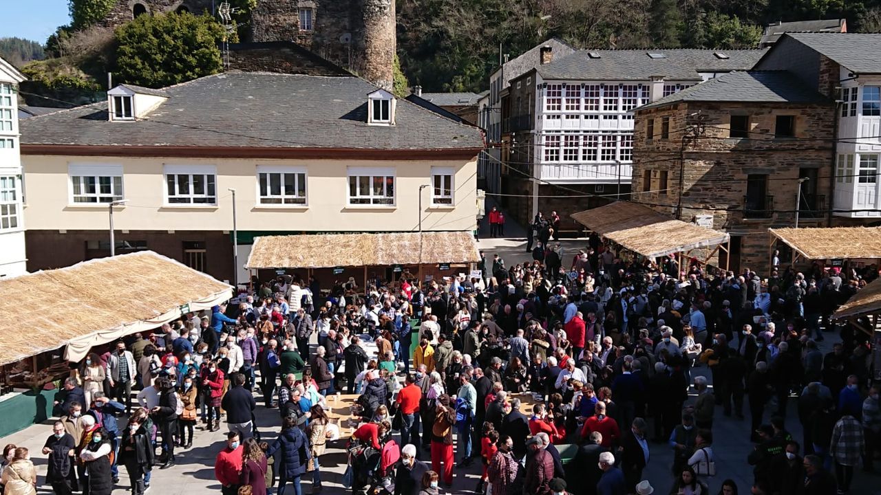 A Festa da Androlla de Navia de Suarna, en imaxes.El certamen de la camelia de Vedra se celebr con buena participacin en Santa Cruz de Ribadulla