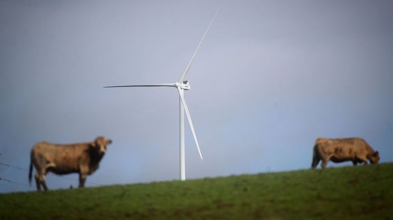 La Xunta deniega la luz verde ambiental a siete parques eólicos