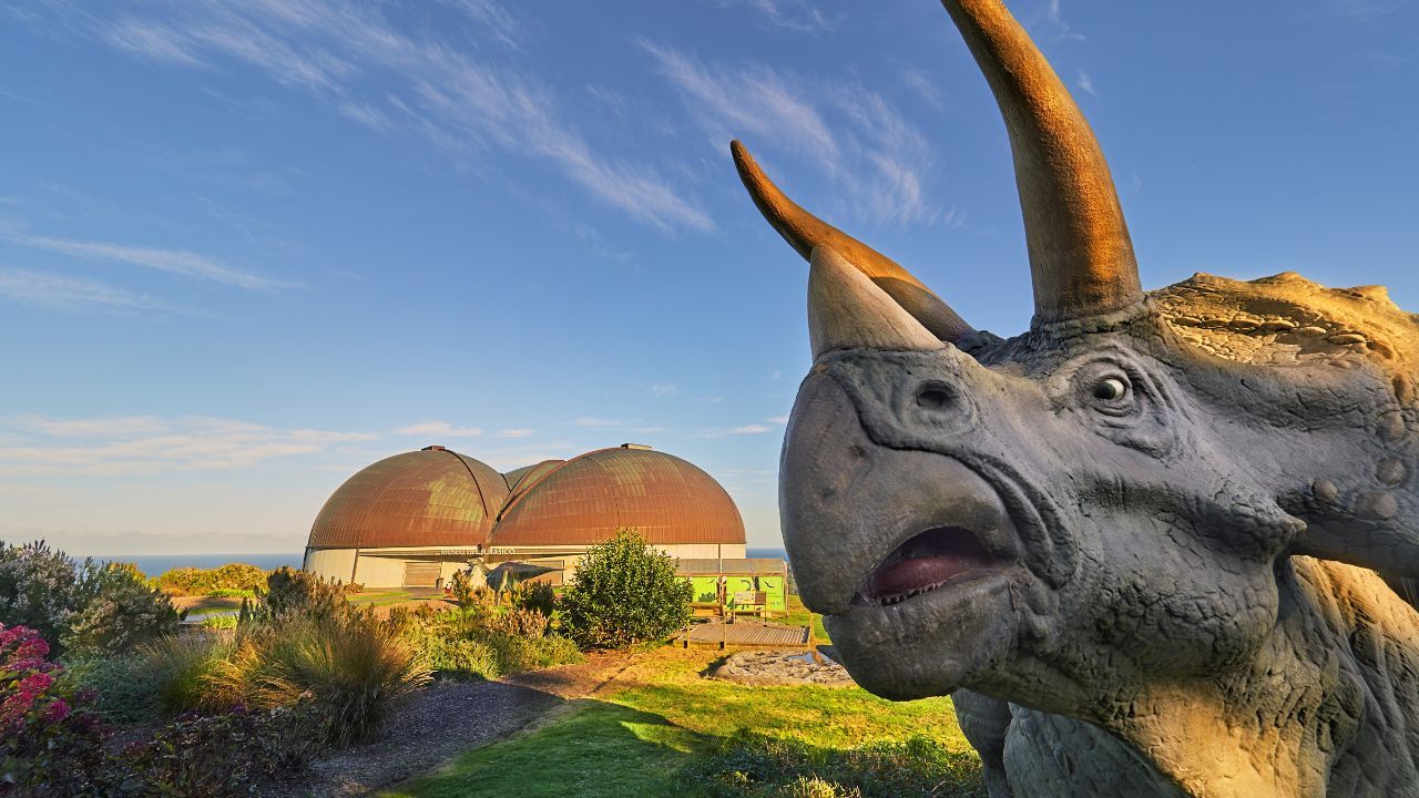 Triceratops exterior MUJA