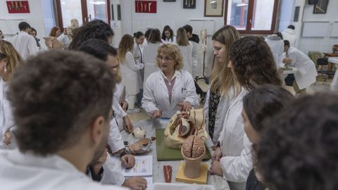 Alumnos de primero de Medicina en una foto de archivo del 2022