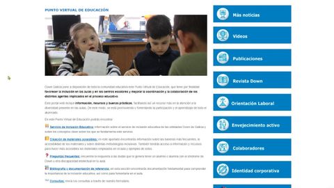 Captura de la web renovada por Down Galicia