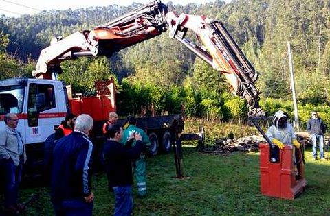 Los propios apicultores retiran nidos, como ocurri en Loiba, con colaboracin del Concello de Ortigueira. 