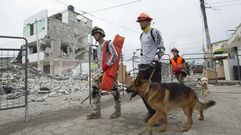 Terremoto en Ecuador