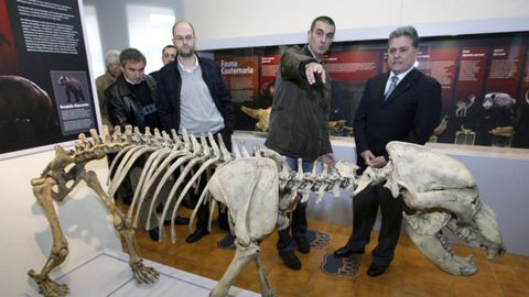 El alcalde (derecha) observa la réplica de un esqueleto de uno oso de las cavernas en la inauguración del museo geológico de Quiroga, en diciembre del 2012