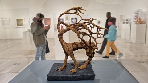 Exposição Origami no Museu Provincial de Pontevedra.