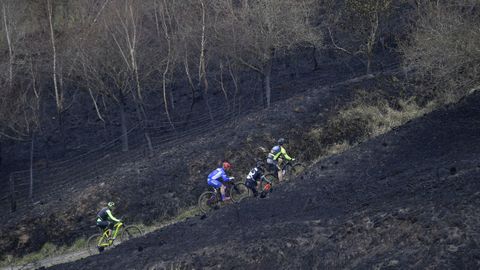 Vista de las zonas quemadas del Monte Naranco de Oviedo