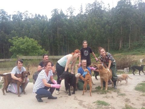 Grupo de voluntarios con los perros de Terracn. 
