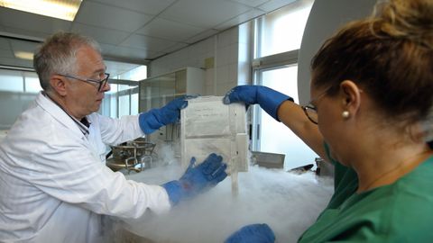 Los tejidos de la unidad de criobiología del Hospital Materno de A Coruña se usan en la asistencia sanitaria para implantes