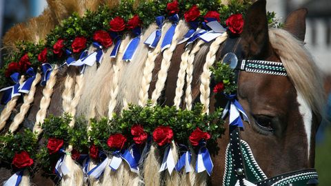 Detalle de los adornos de uno de los caballos de una procesin de Pascua en Traunstein