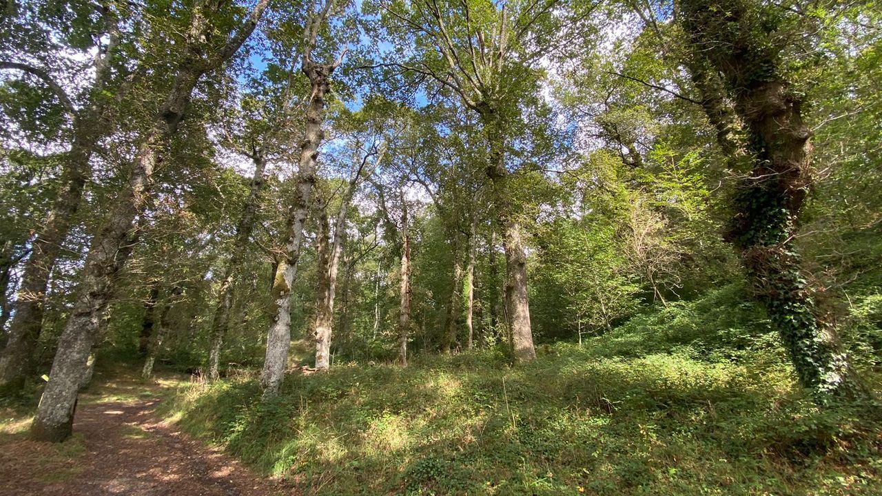 Plaza de Azcrraga de A Corua