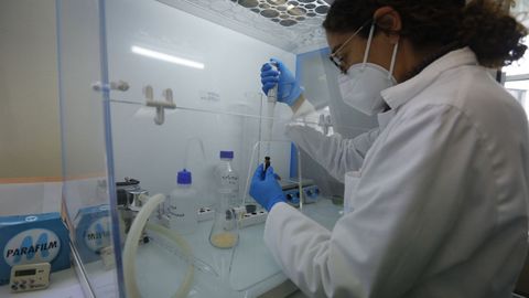 Las muestras se trasladan de inmediato a un laboratorio situado en el propio puerto, donde se hacen pruebas con reactivos qúimicos para comprobar el nivel de micotoxinas, cuyo consumo excesivo y continuo puede ser perjudicial para la salud