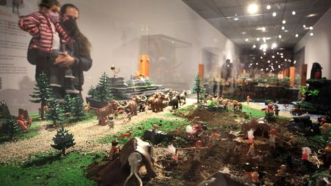 A exposición pode visitarse no MIHL