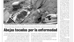 Una pgina de La Voz publicada en mayo de 1999 inform sobre la propagacin de la plaga de loque americana en el sur lucense