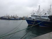 Flota amarrada en la d�rsena de Oza