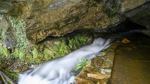 Otro aspecto del arroyo que sale de la cueva de Santalla de Abaixo
