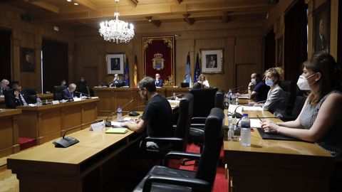 El pleno se celebró todavía con una presencia reducida de diputados
