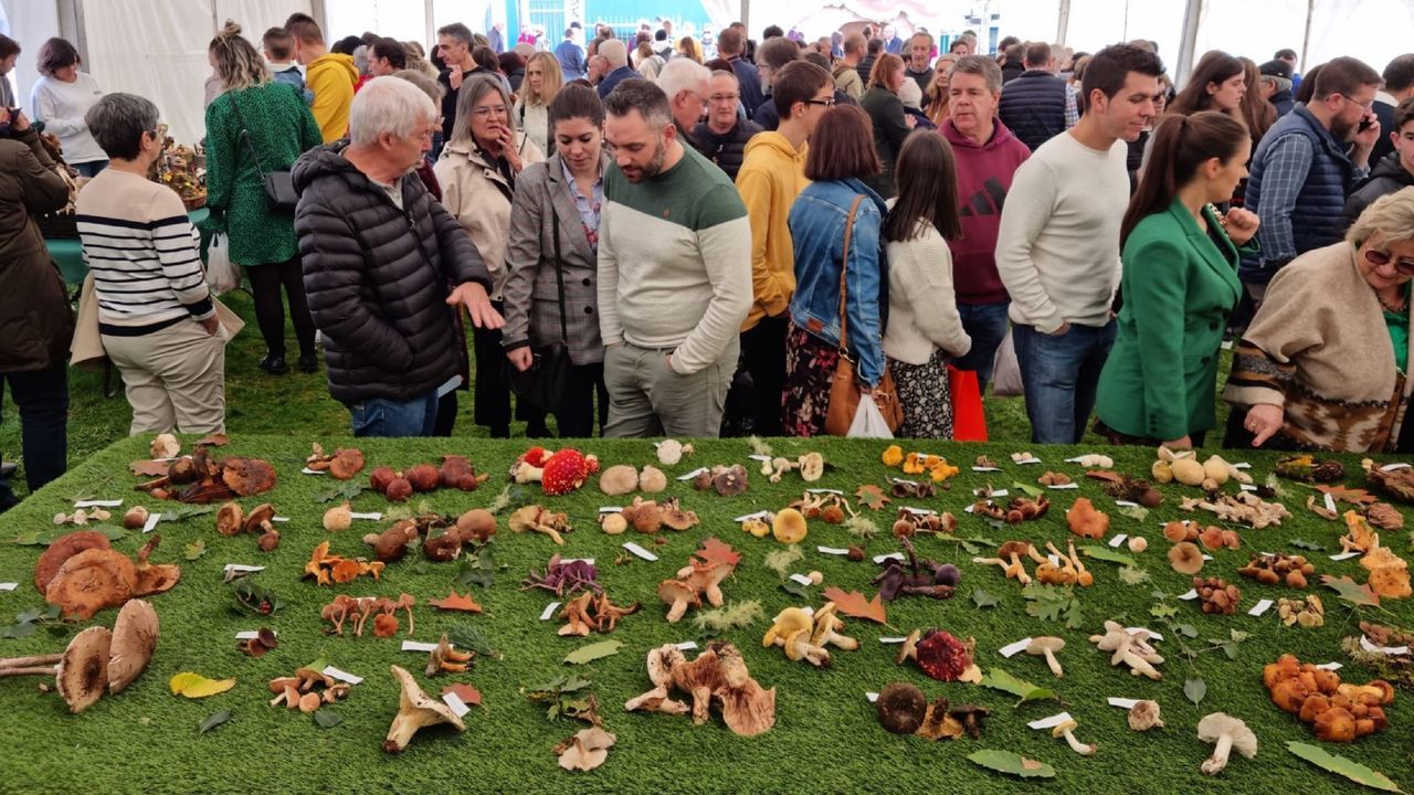 As son las termas de A Chavasqueira de Ourense, reconstruidas y reabiertas.Tanxugueiras estarn en el San Froiln de Lugo