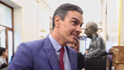 Pedro Sánchez, en el Congreso