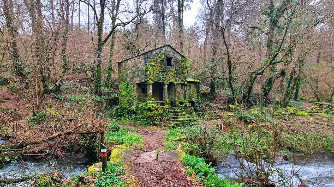 Ruta por Zam&aacute;ns.Cristina Nieto y Luis Gil crearon un confesionario at&iacute;pico para la capilla del Pilar, aunque acabaron tambi&eacute;n en las de Mondrag&oacute;n y Virgen Blanca. Explican que un dise&ntilde;o, sea cual sea, nunca nace de cero ya que va en comuni&oacute;n con el contexto que lo rodea, en especial este. Pese a la aparente sencillez del mueble, est&aacute; todo muy pensado, desde la carpinter&iacute;a tradicional (sin usar ni clavos ni tornillos, sino uniones espigadas) hasta su calefacci&oacute;n e iluminaci&oacute;n. Hay una complejidad luminaria para que el penitente, arrodillado, tenga una luz rasante y no se le vea el rostro, al tiempo que el cl&eacute;rigo, sentado, tiene un foco de luz abierto que le permita ponerse su misal para oficiar el sacramento. Los confesionarios de Nieto y Gil se instalaron en la Catedral en pleno a&ntilde;o Xacobeo, en el 2021.
