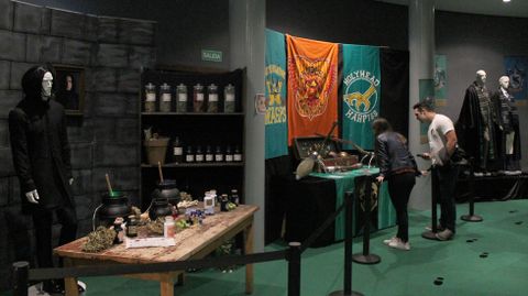 Espectadores en la exposicin sobre Harry Potter en Metrpoli