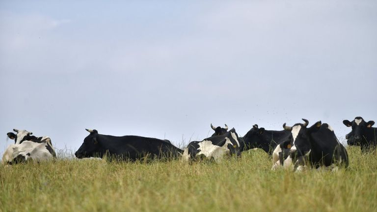 Ocho céntimos que pueden vaciar el rural