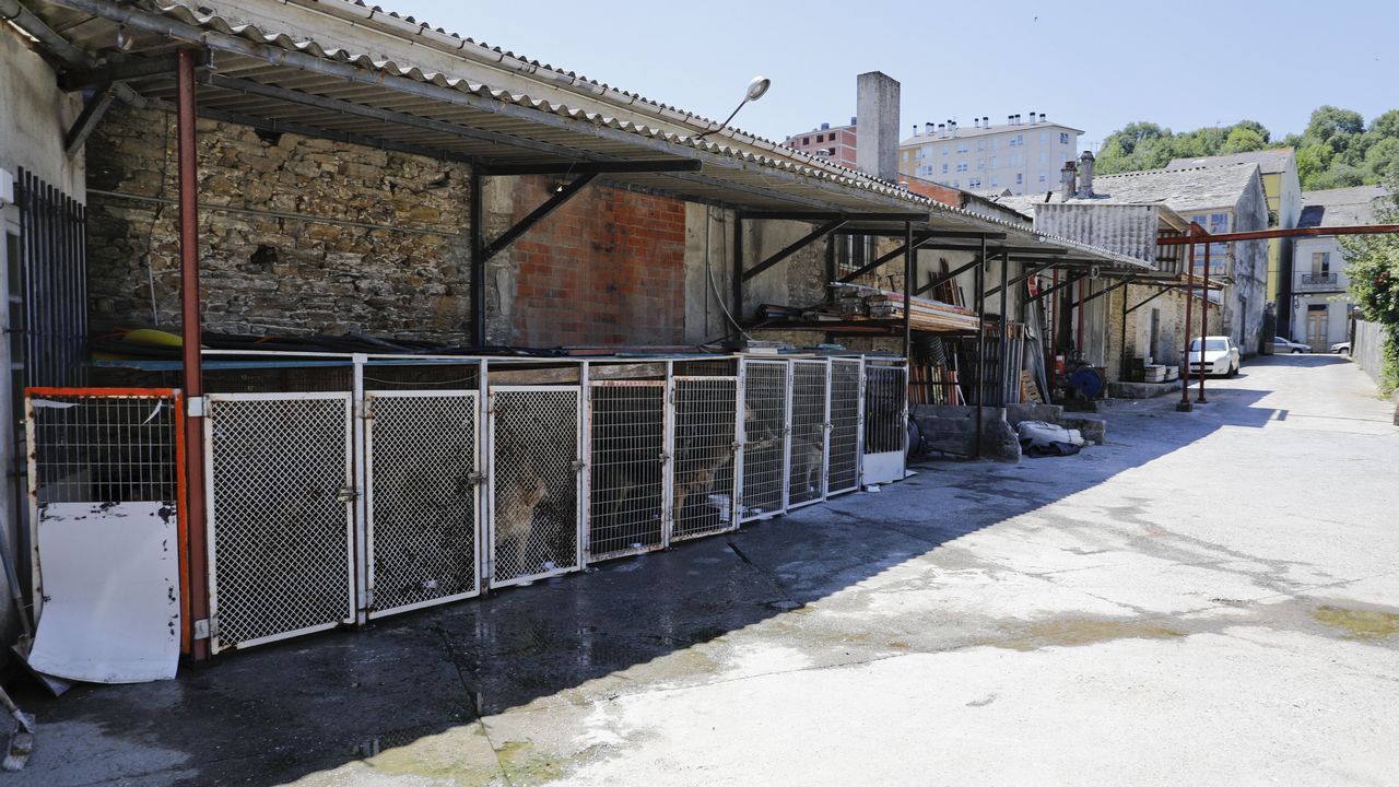 Perrera provisional en unas instalaciones municipales en la R�a do Porvir en Sarria