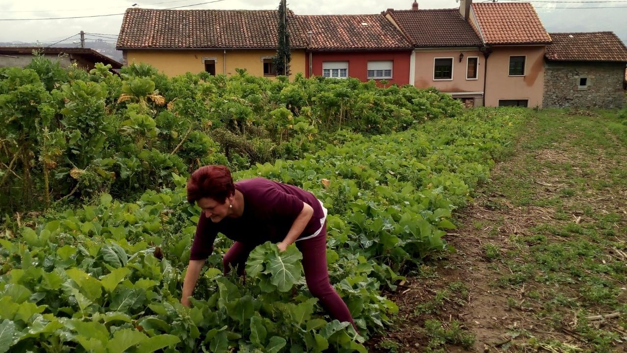 zona rural oviedo huerta mujer asturias huertas .Vecina de Villamorsén (Lillo) en la huerta