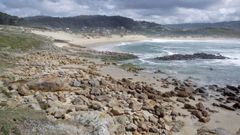 El Concello de Ferrol comenzar a acondicionar las playas en el mes de mayo. En la inagen, Donios, que en la actualidad presenta un aspecto distinto por el arrastre de arena.